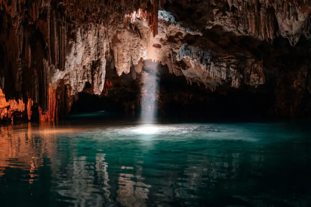 CENOTE1.webp